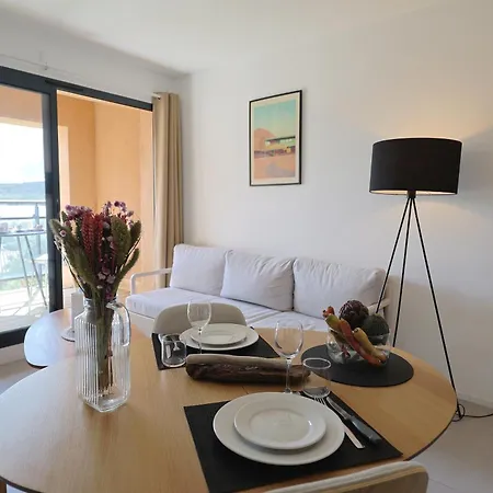 Apartment La Felicita - T2 Piscine Chauffee & Privee *